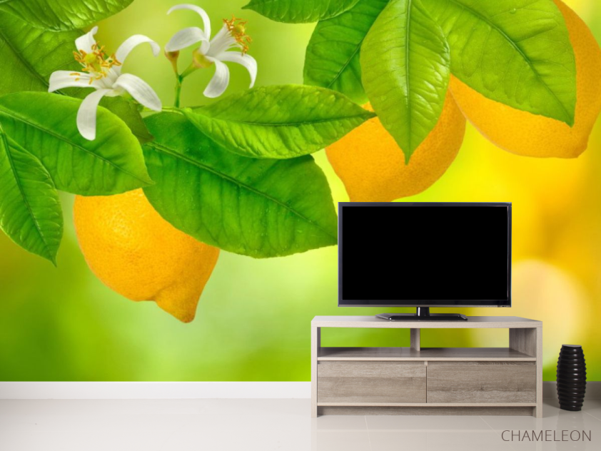 Фотообои Лимон - 2