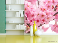 Фотошпалери дві гілки сакури - 3