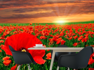 Фотошпалери Схід на маковому полі - 1