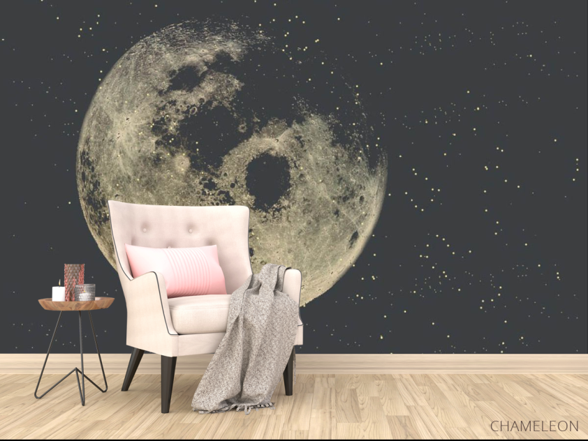 Фотообои луна - 4