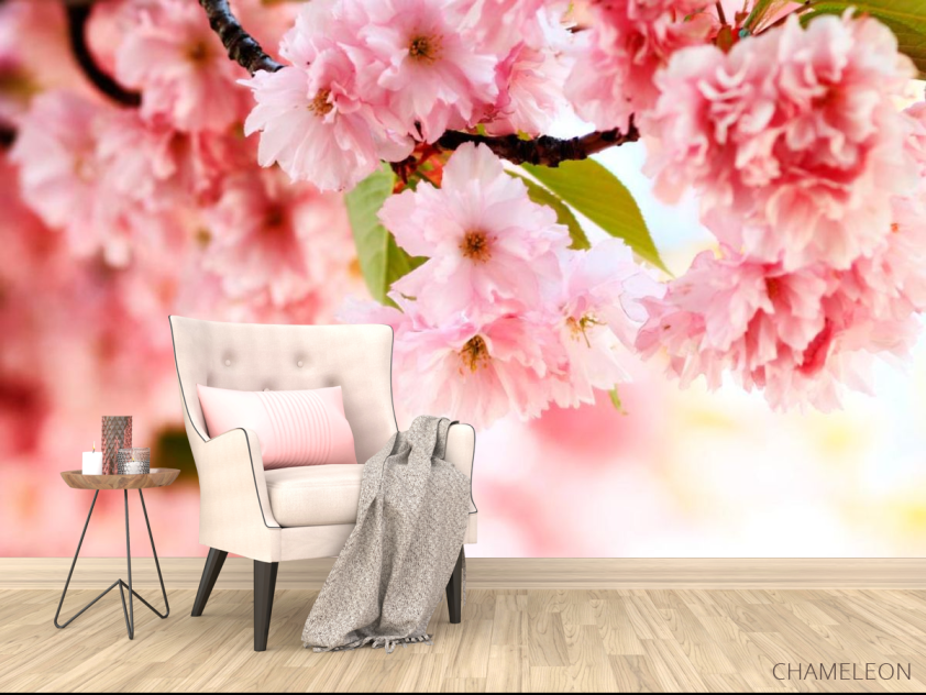 Фотообои Ветка нежно-розовых цветов - 4