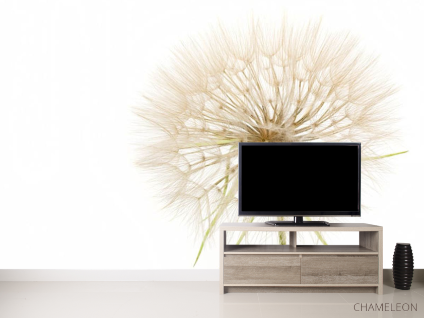 Фотообои одуванчик - 2