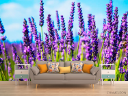 Фотообои Цветы - 1