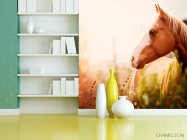 Фотошпалери Кінь серед трав - 3