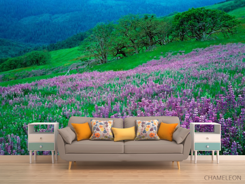 Фотообои Гармония на луке - 1