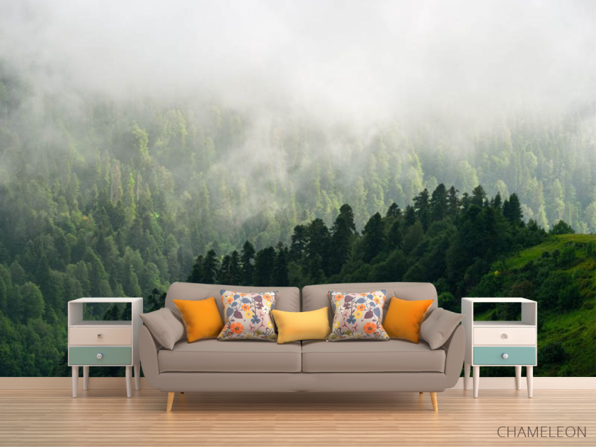 Фотообои Вид на туманый лес - 1