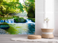 Фотошпалери Дивний куточок лісу - 2