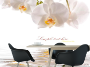 Фотошпалери Орхідеї білосніжні - 1