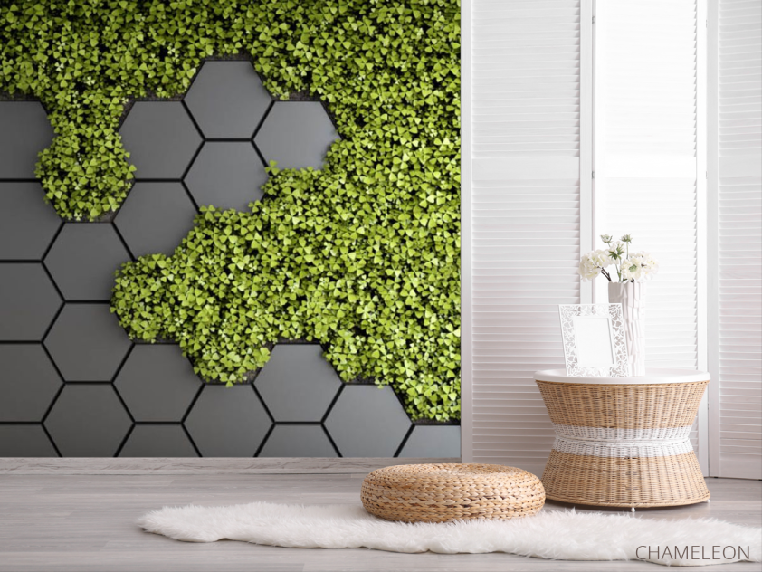 Фотошпалери шестикутники з зеленню - 2