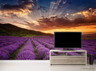 Фотообои закат над сиреневым полем - 2