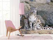 Фотошпалери Сім'я снігових барсів - 4