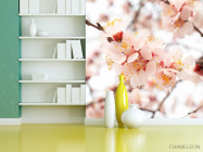 Фотошпалери Квітучий абрикос навесні - 3