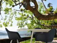 Фотошпалери Набережна, дерева - 1