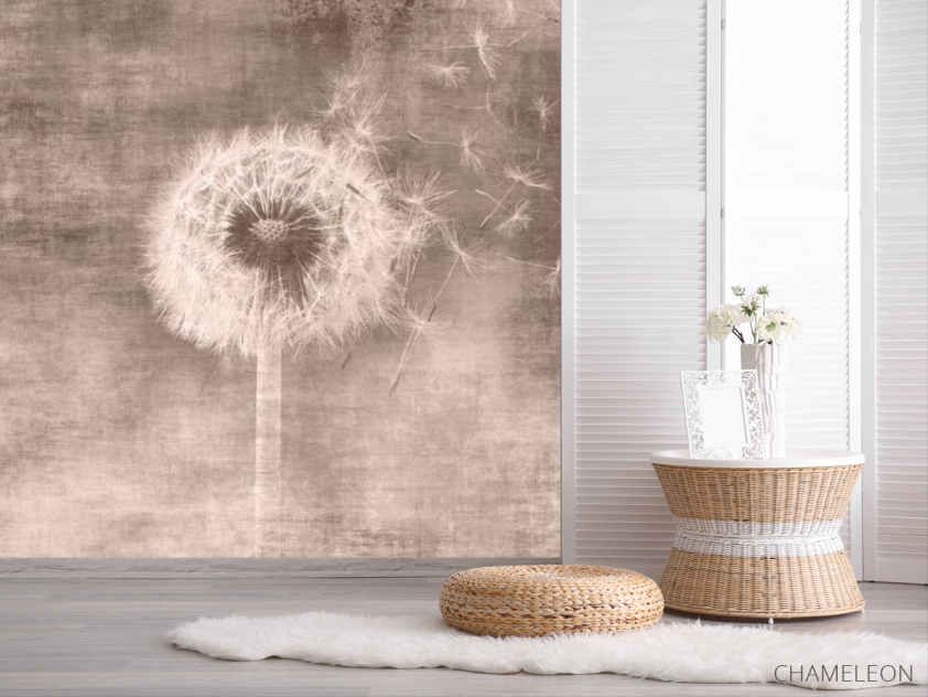 Фотошпалери Кульбаба сепія - 2