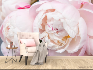 Фотообои нежные бело-розовые пионы - 4