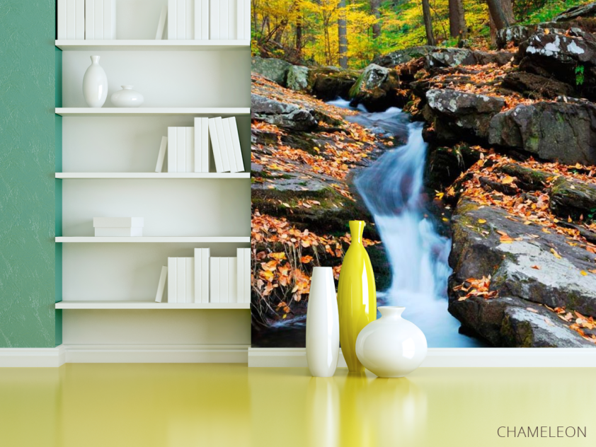 Фотошпалери Струмок біжить - 3