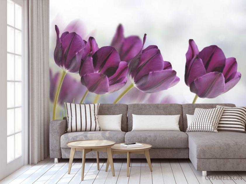 Фотообои тюльпаны - 3