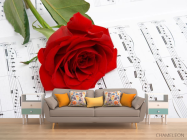 Фотообои Роза на нотах - 1