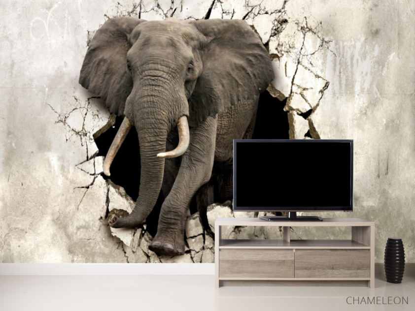 3д фотообои Слон - 2