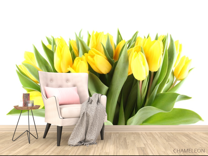 Фотообои желтые тюльпаны - 4