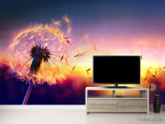 Фотообои одуванчик закат - 2