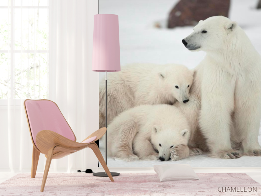 Фотошпалери Сім'я білих ведмедів - 4