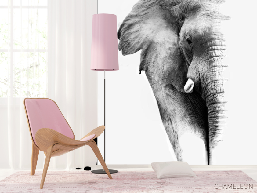 Фотошпалери Слон - 4