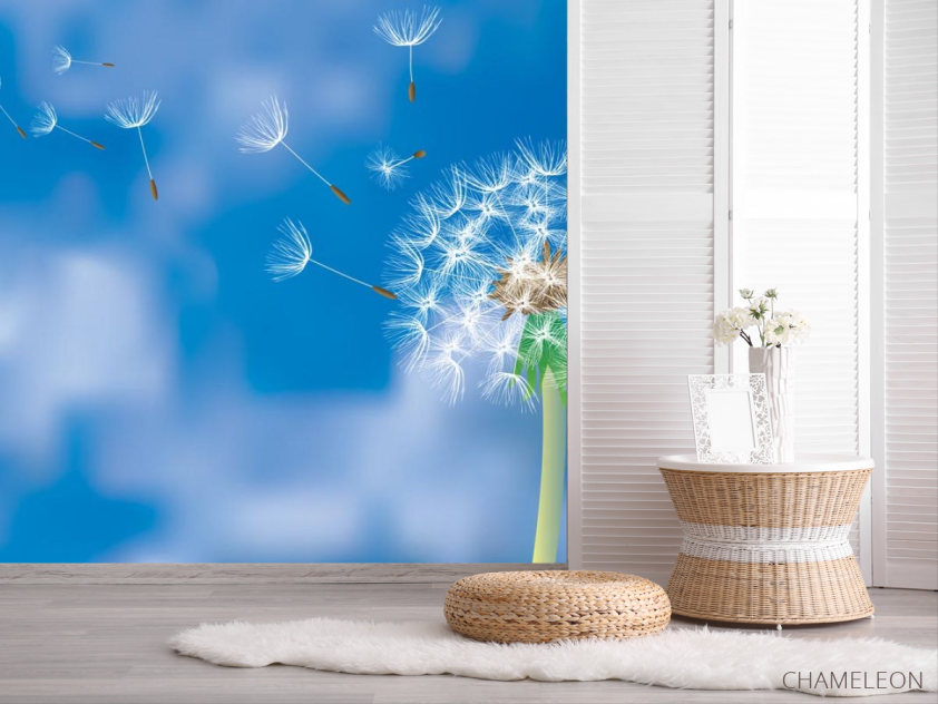 Фотошпалери Кульбаба на синьому тлі - 2