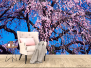 Фотообои Цветущая сакура - 4