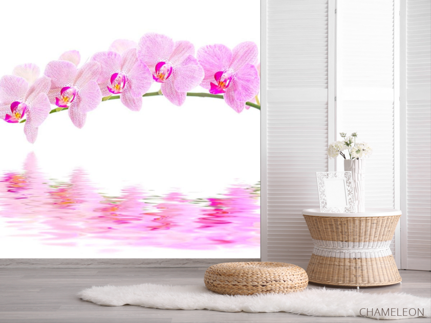 Фотошпалери Відображення орхідей - 2