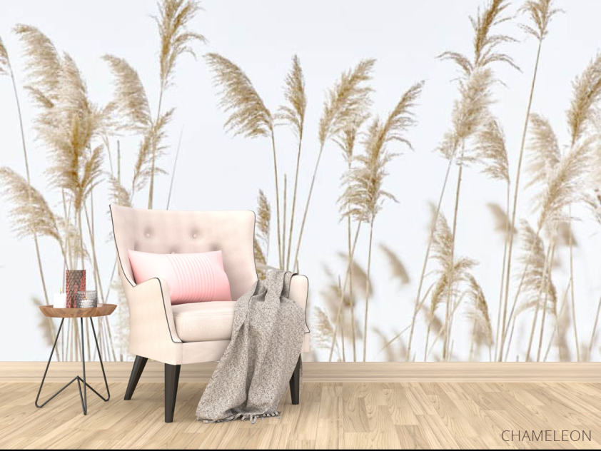 Фотообои Сухоцветы камышь - 4