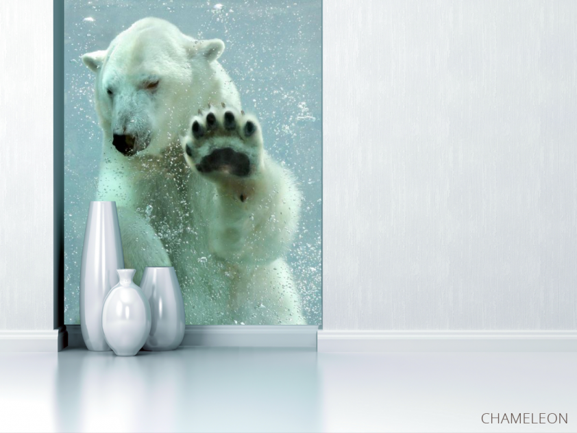 Фотообои белый медведь под водой - 1