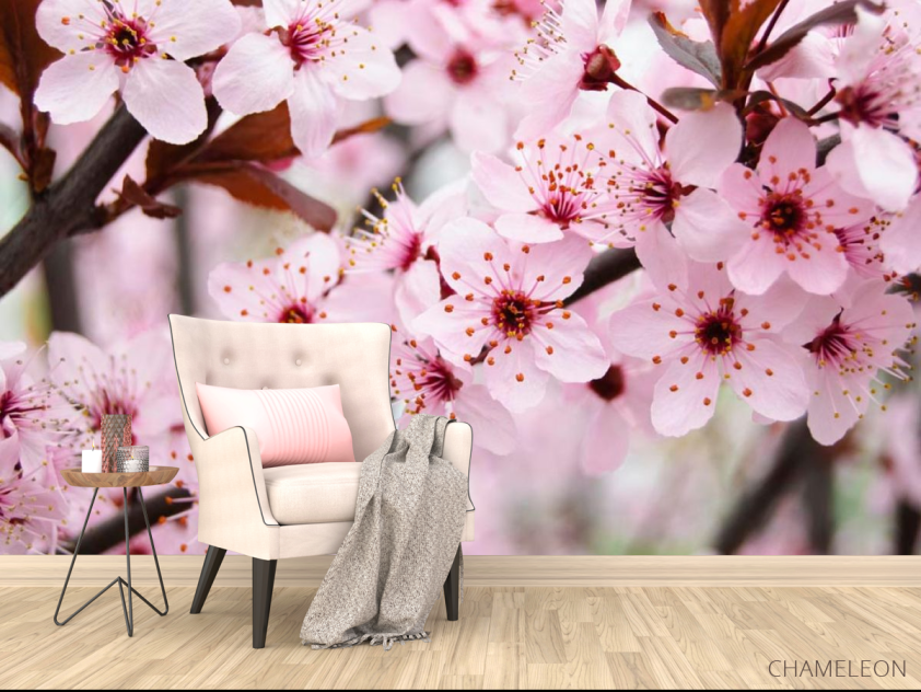 Фотообои Цветущее весной деревце - 4