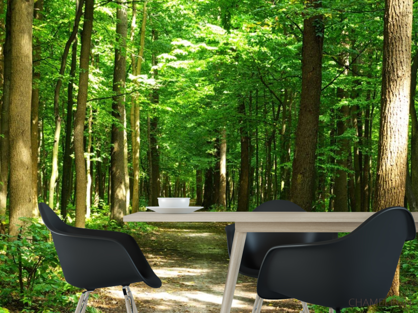Фотошпалери зелений ліс - 1