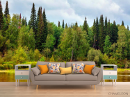 Фотообои Течение, лес - 1