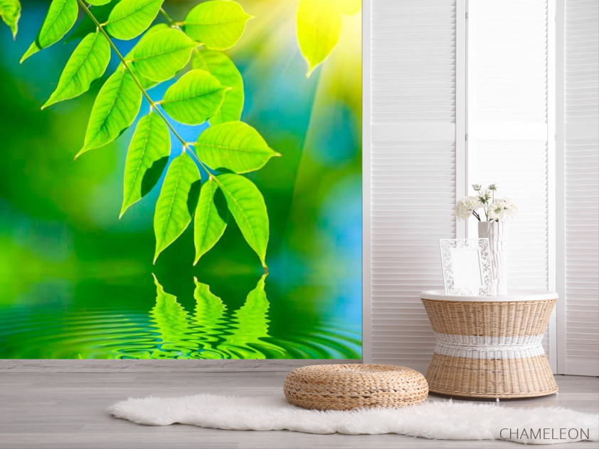 Фотошпалери Зелень над водою - 2