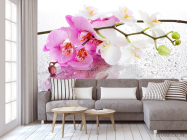 Фотообои Орхидеи розовые и белые - 3