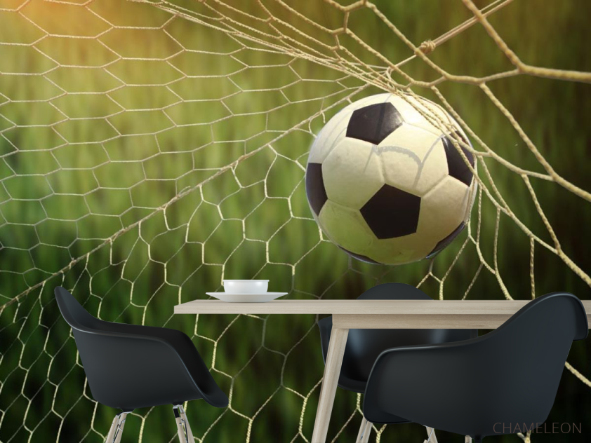 Фотошпалери м'яч у воротах - 1