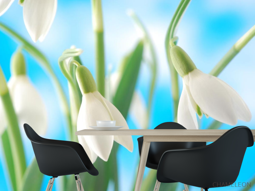 Фотошпалери проліски - 1