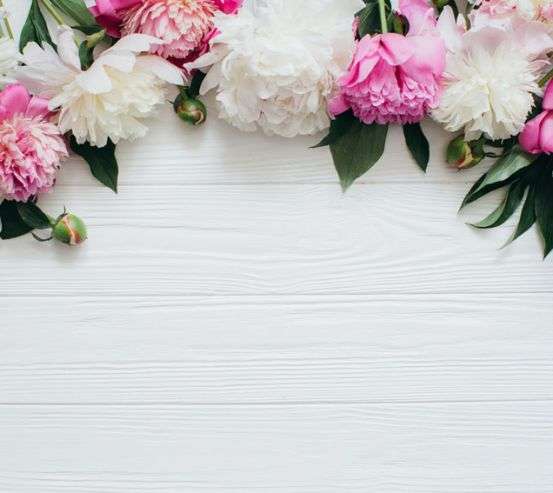 Фотообои Пионы с потолка Фотообои Пионы с потолка 22911