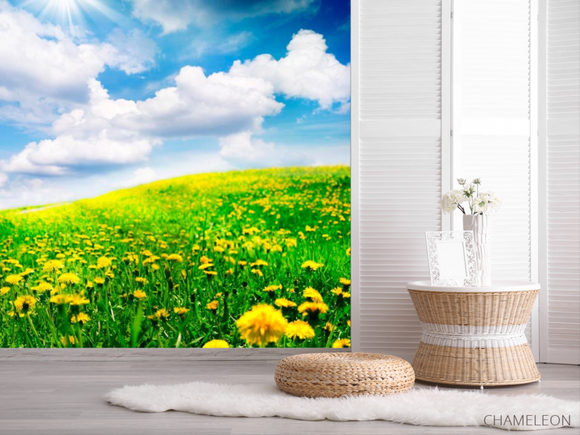 Фотошпалери Хмари, небо, луг - 2