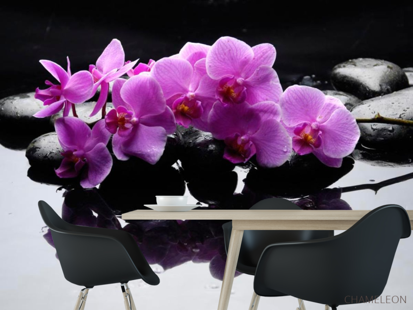 Фотошпалери Гілка орхідеї на каменях - 1