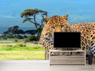 Фотообои Гепард перед прыжком - 2