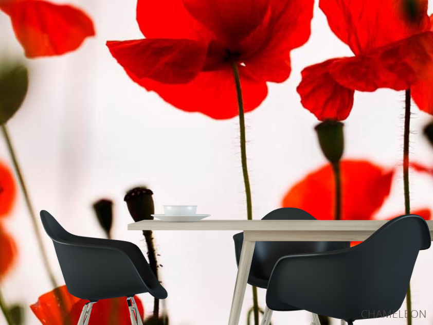 Фотошпалери Маки польові червоні - 1