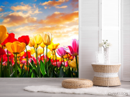 Фотообои Тюльпаны в закате - 2