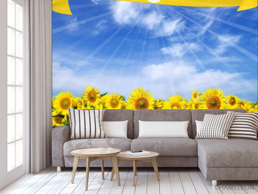 Фотообои в школу - 3