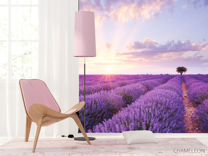 Фотошпалери Лавандове поле на сході - 4
