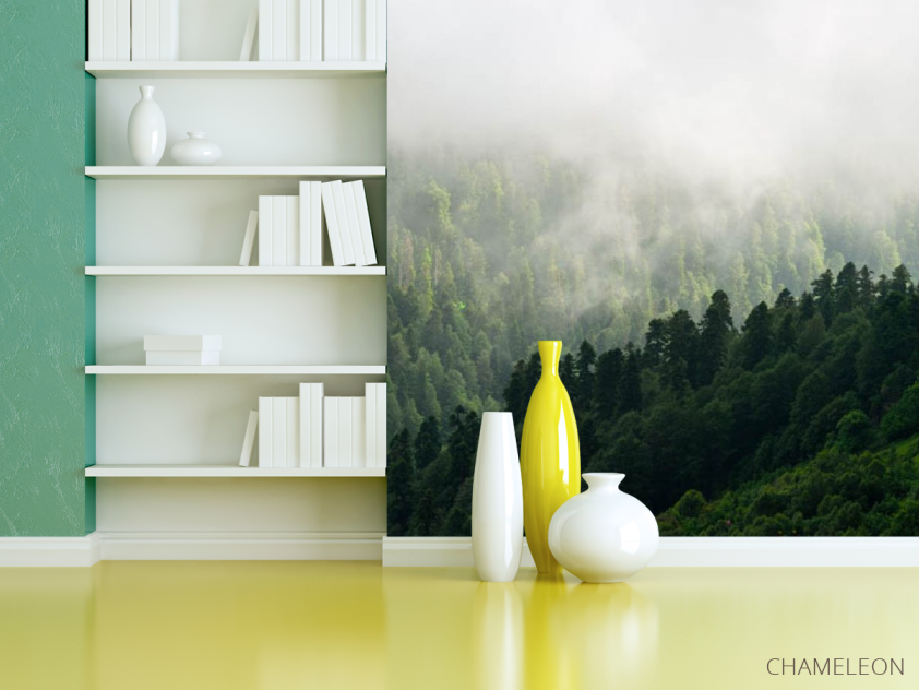 Фотошпалери Вид на туманий ліс - 3