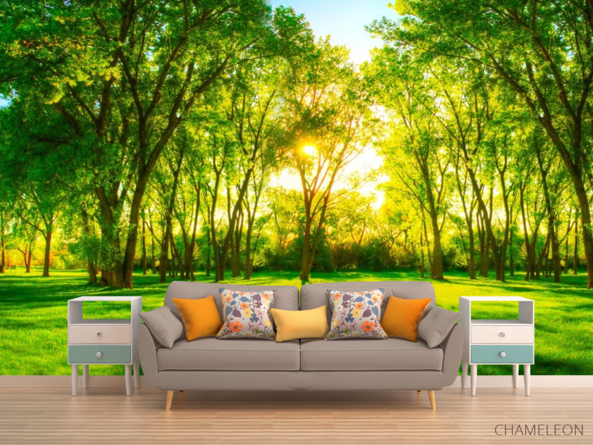 Фотообои Зеленые деревья - 1