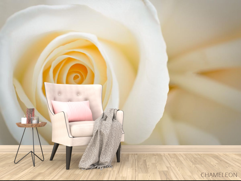 Фотообои кремовая роза - 4